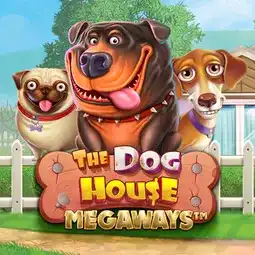 The Dog House Megaways game at LevelUp Casino for Australian players