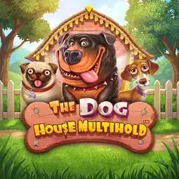 The Dog House Multihold game at LevelUp Casino for Australian players